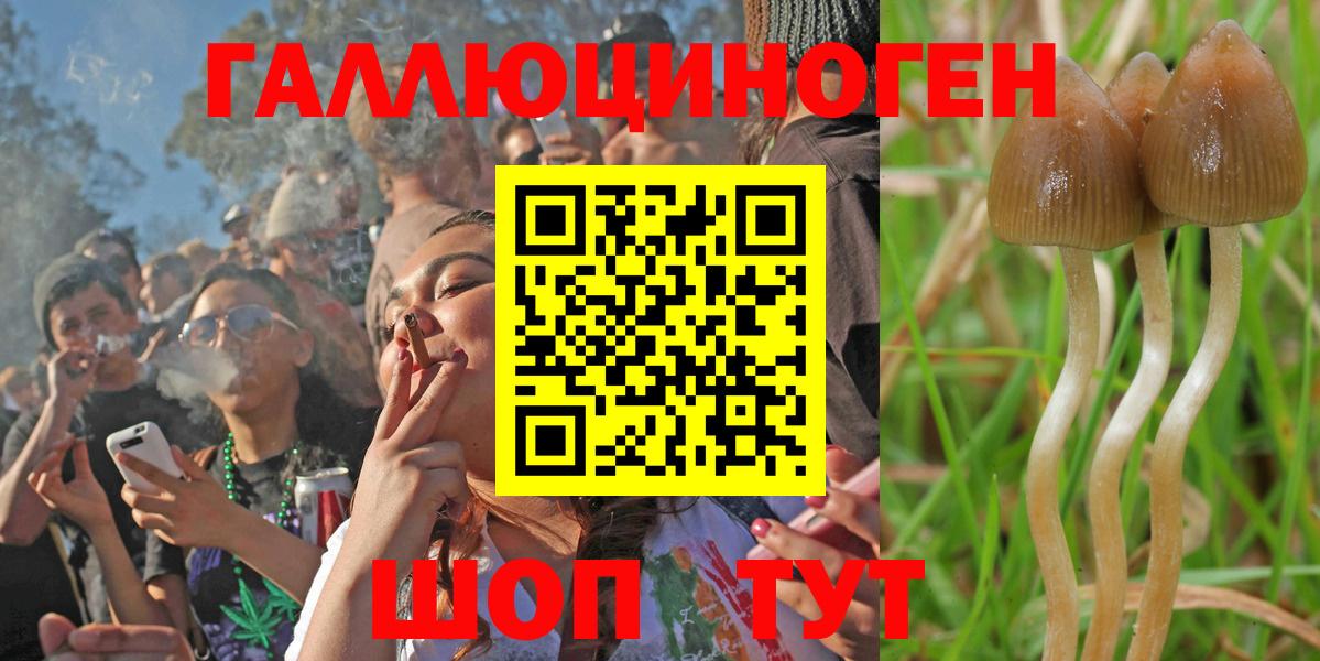 Полевской  Псилоцибиновые грибы GOLDEN TEACHER  Вход с VPN 
