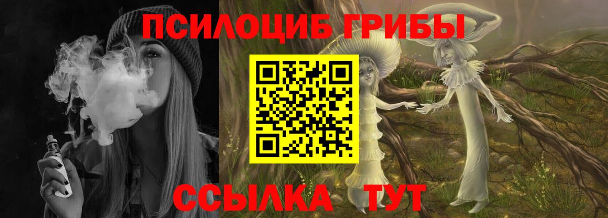 Галлюциногенные грибы Psilocybe Полевской